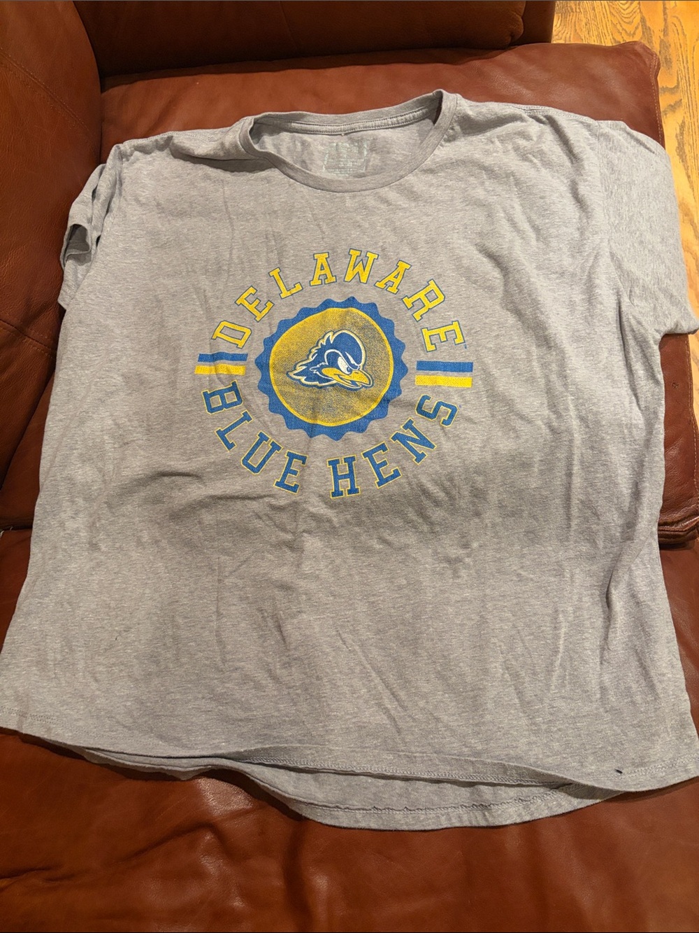 Delaware Blue Hens Gray Short Sleeve Tee